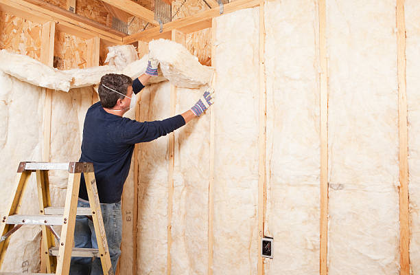 Best Batt and Roll Insulation  in Fort Smith, AR